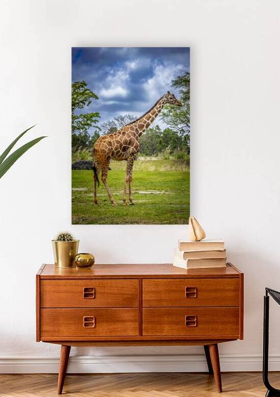 Wildlife 7 by Tono Chavez