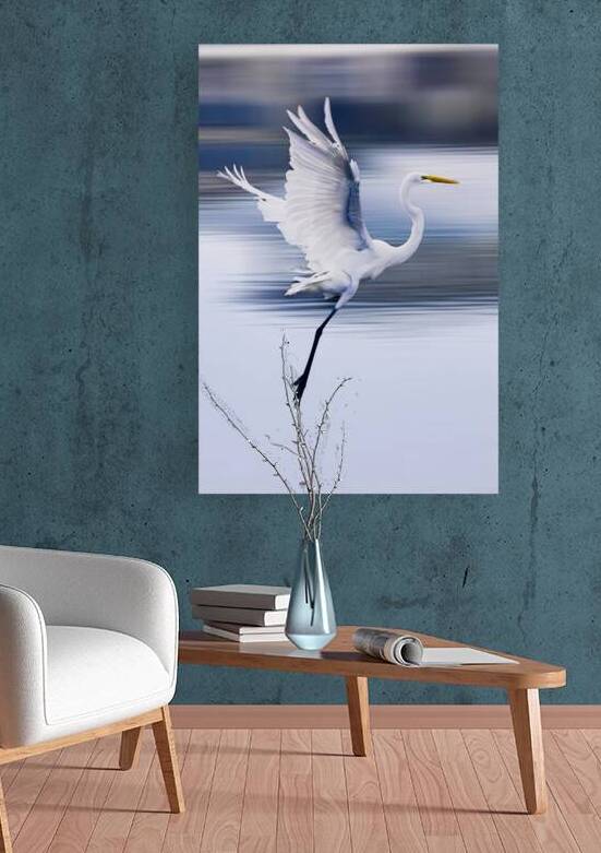 Wildlife 1 by Tono Chavez